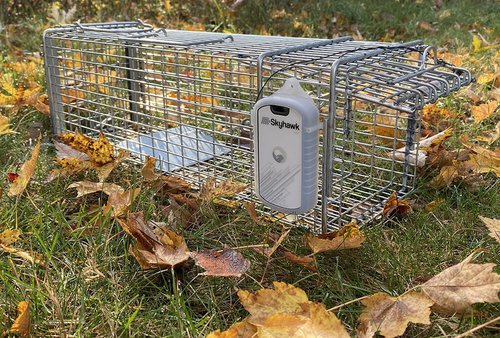 Skyhawk Kiwi with sleeve mounted on live animal trap