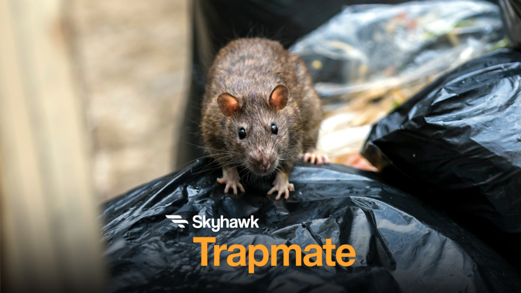trapmate-hero